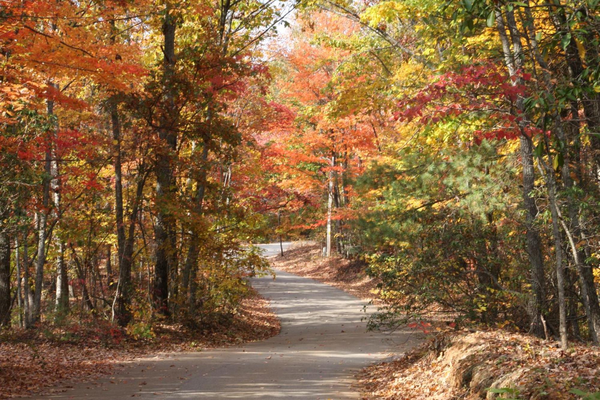 Forrest Hills Mountain Resort Dahlonega Exterior foto